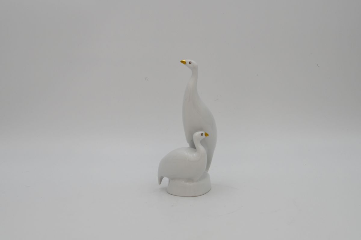 Guinea, white-golden