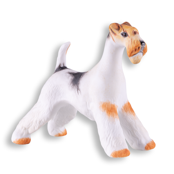 Foxterrier, barna